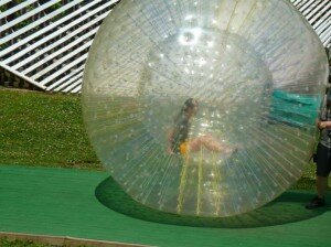 zorbing1 copy