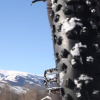 Fat Bikes + Snow = Fun